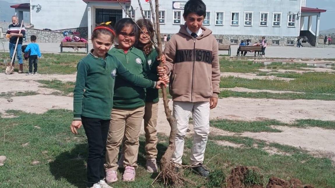 GELECEĞE NEFES, TOPRAĞA UMUT: FİDANLARIMIZI TOPRAKLA BULUŞTURDUK